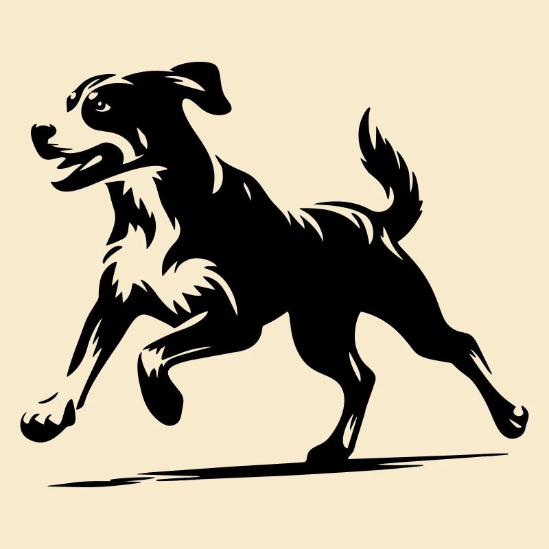 Entlebucher Sennenhund