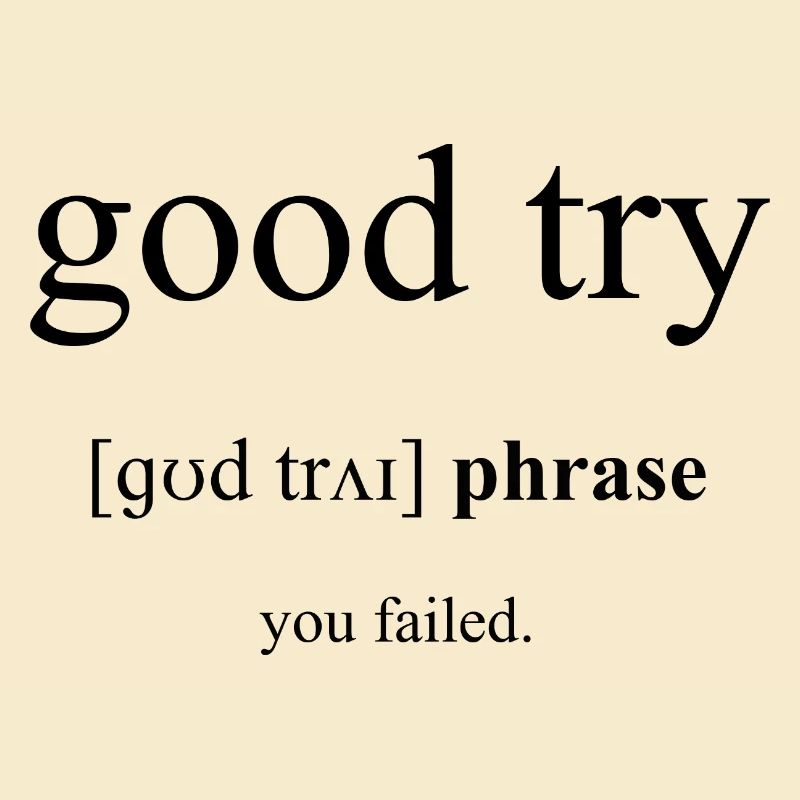Good try | netter Versuch Definition Dictionary