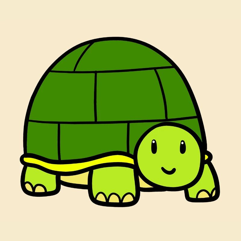 Little turtle