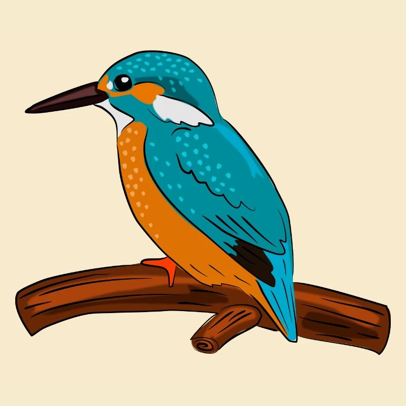 bird