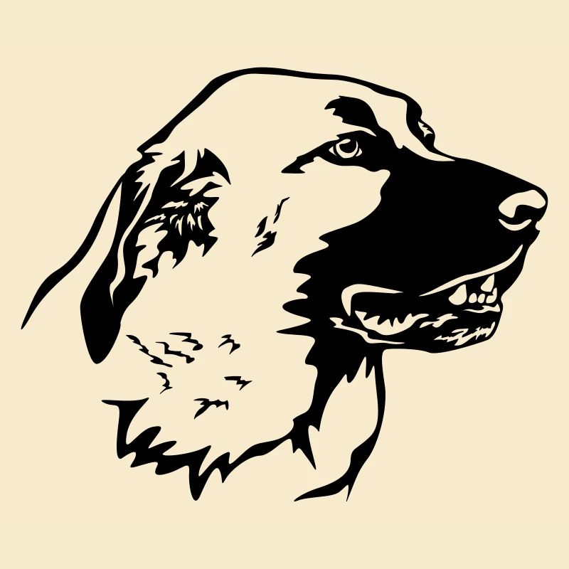 Kangal Head