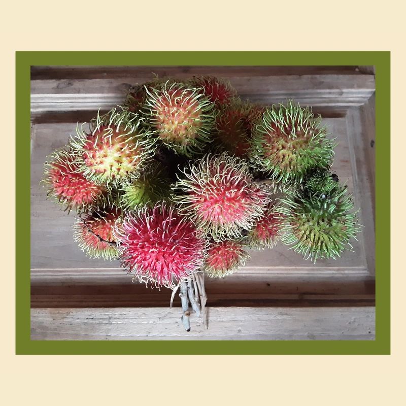 Fruit du litchi
