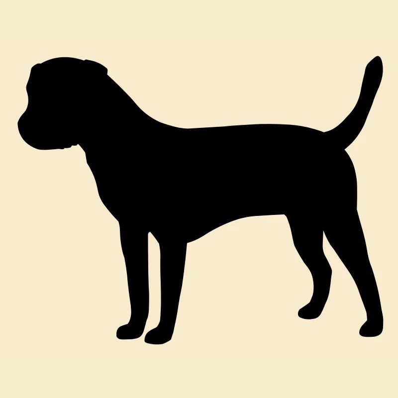 Border Terrier