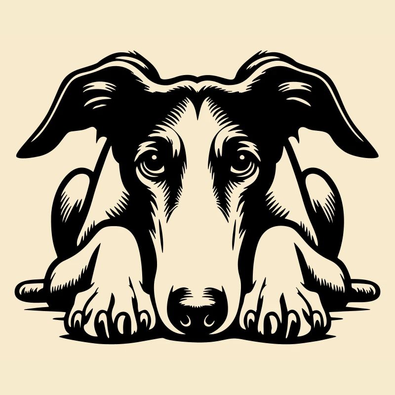 Galgo Kopf mit Pfoten
