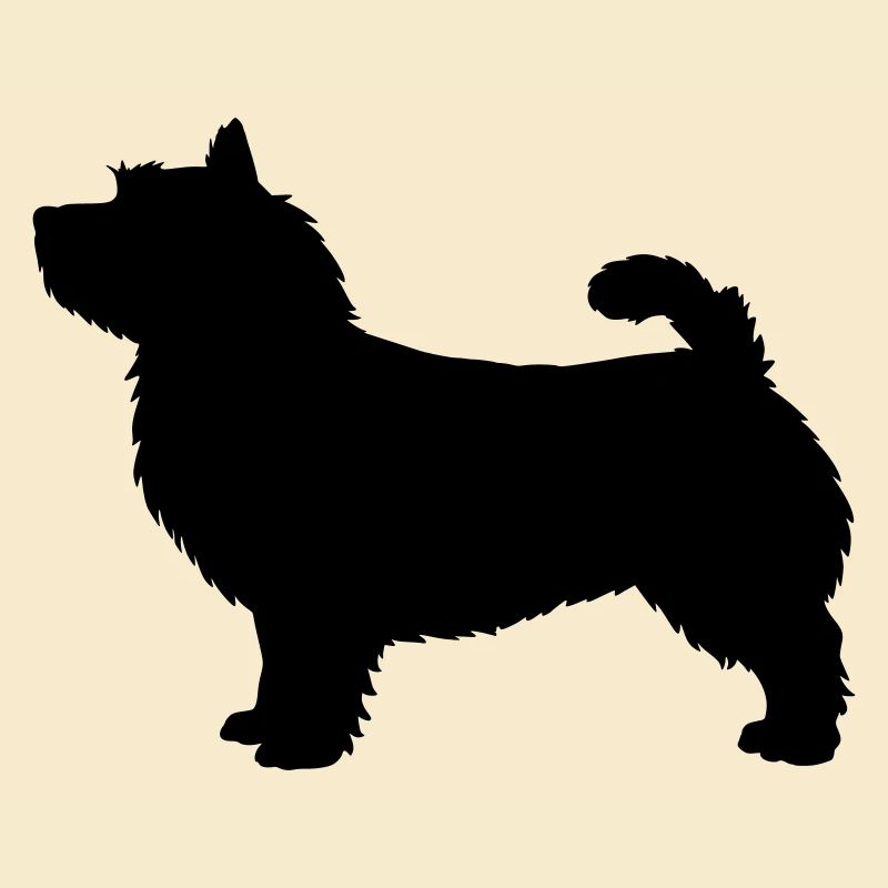 Silhouette des Norwich Terrier