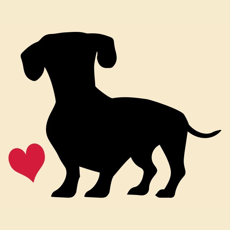 dachshund