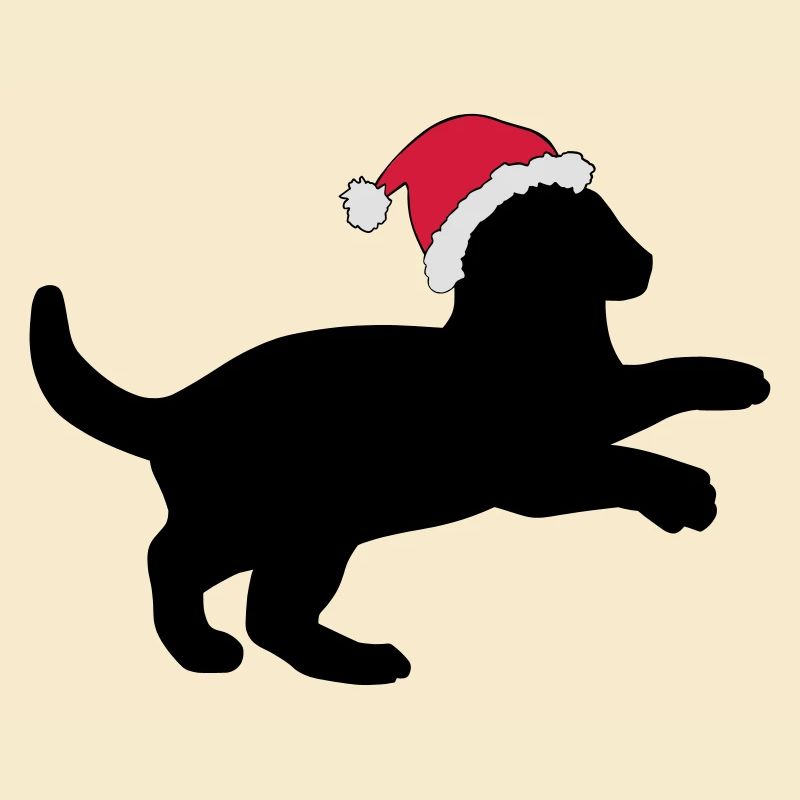 Chaton dans un chapeau de Noël.