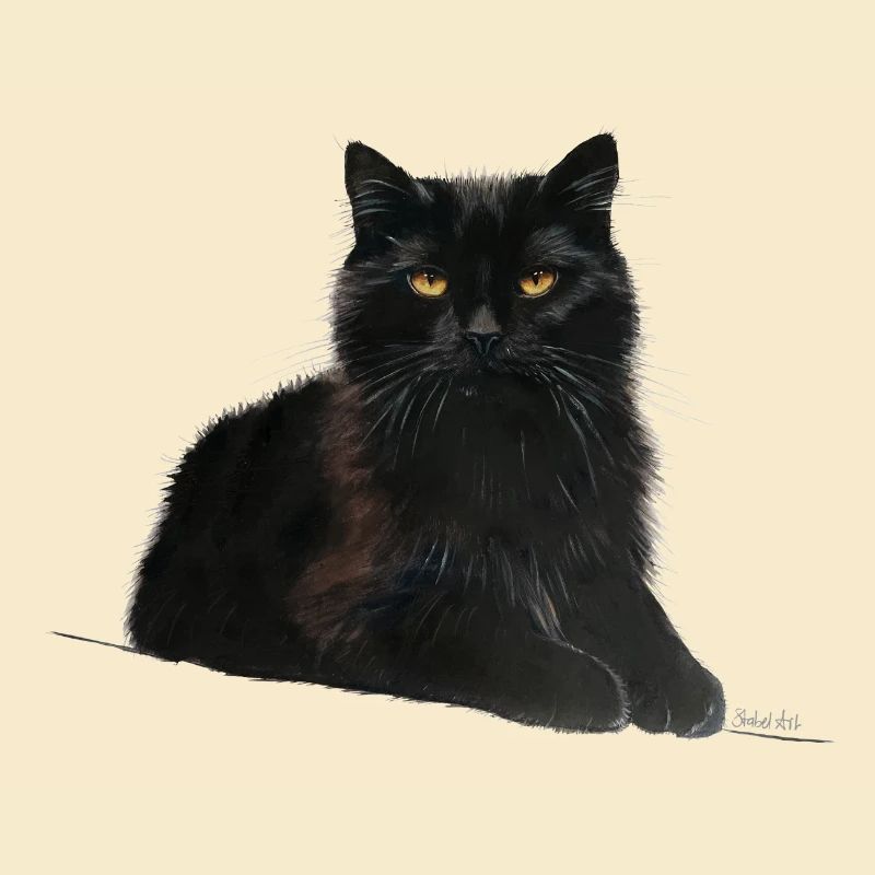 Katze