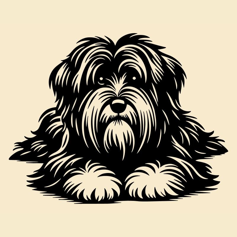 Terrier tibétain