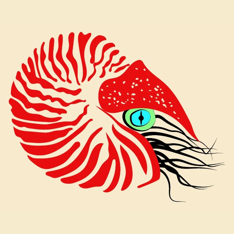 Perlboot, Ammonit, Kopffüßer, Nautilus