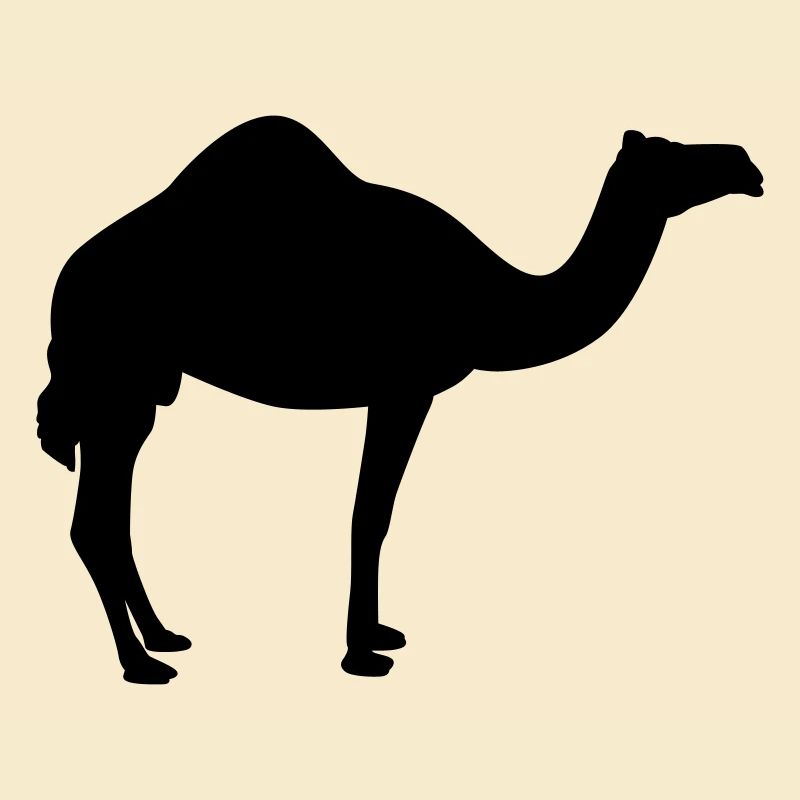 Kamel