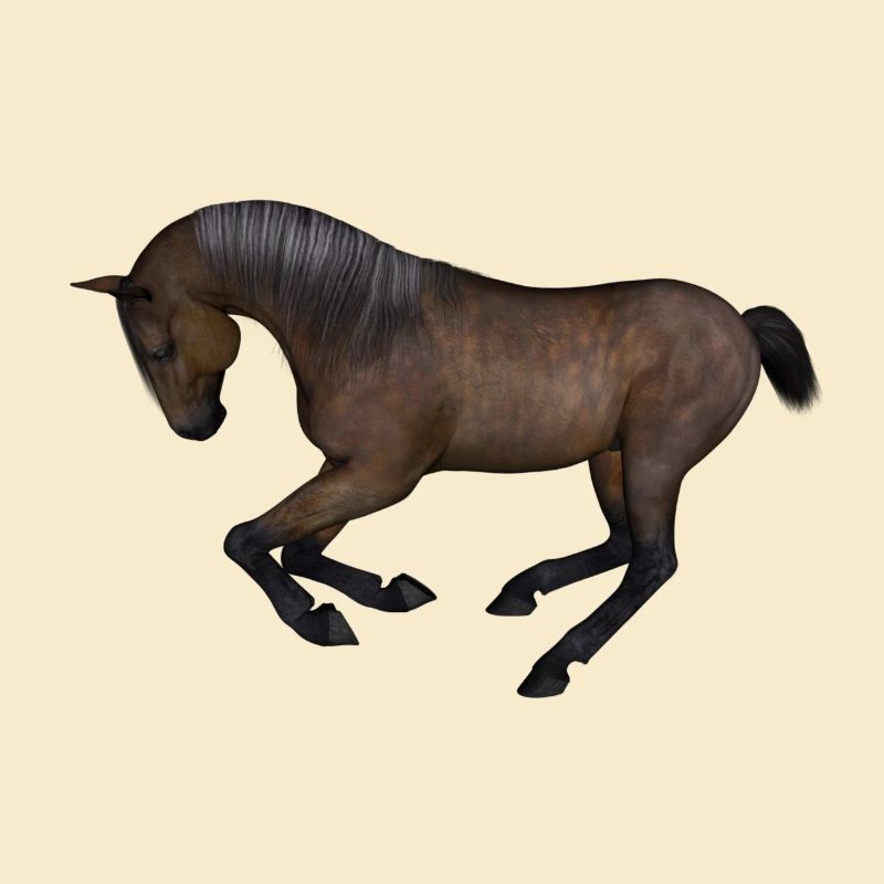 cheval