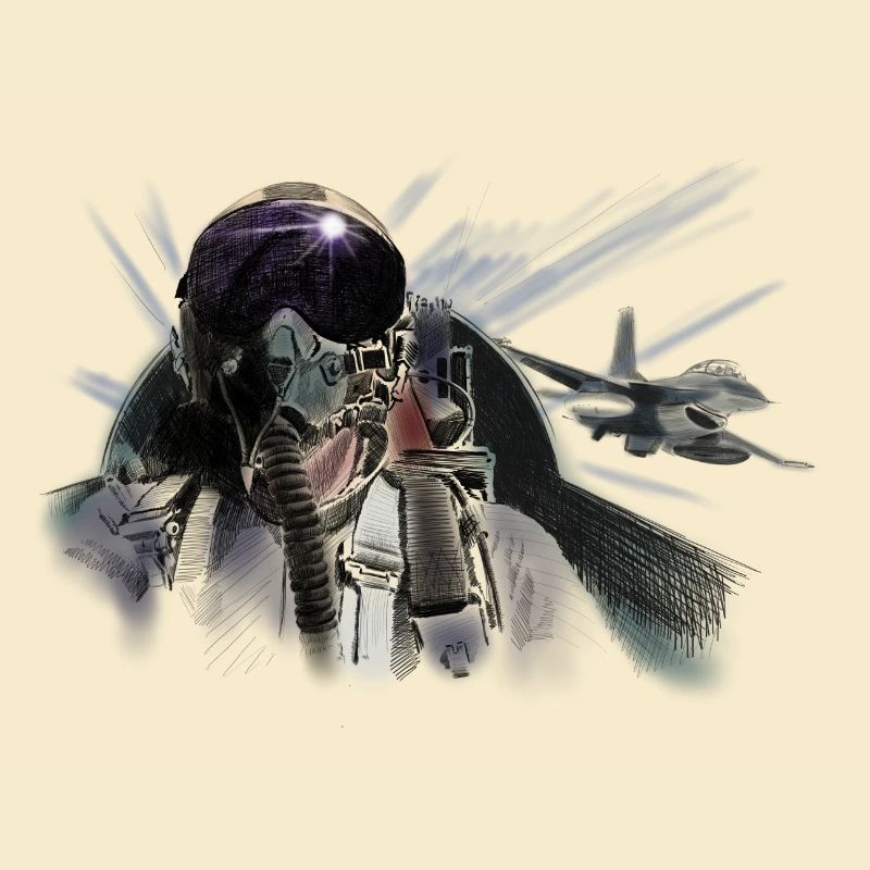 Fighter pilot