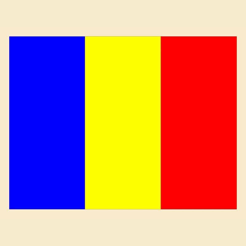 Flagge Rumänien mit Farbbalken Design