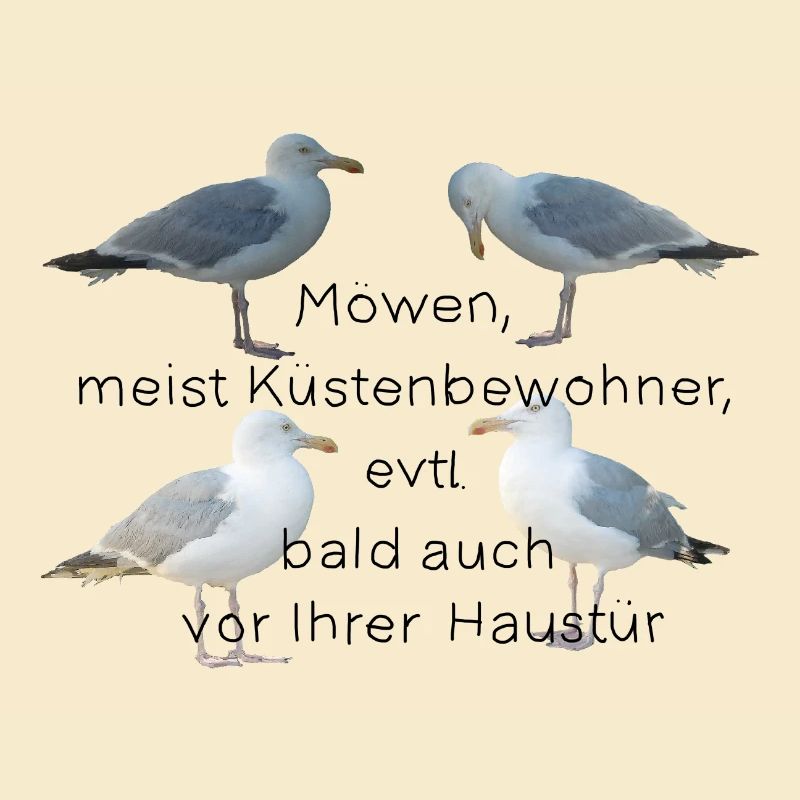 Möwen mit Spruch
