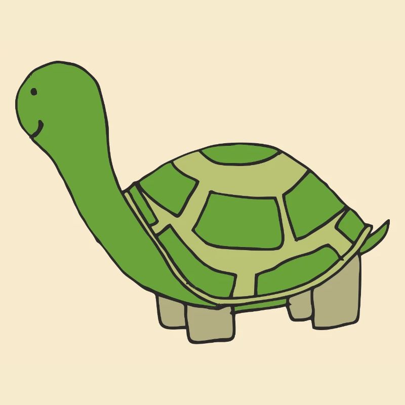 Playful turtle illustration