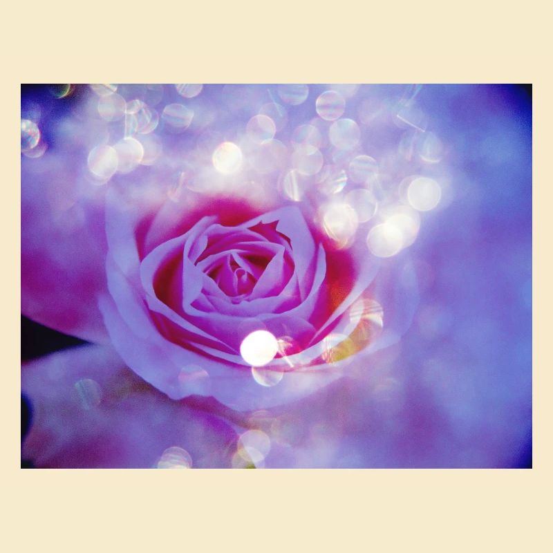 Rose's bright multiple exposure