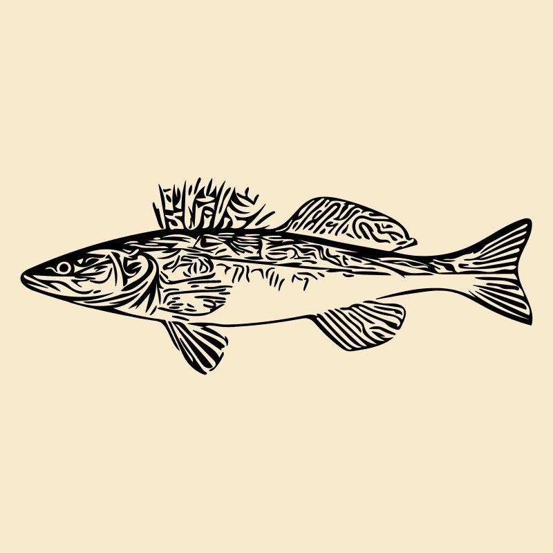 pike-perch