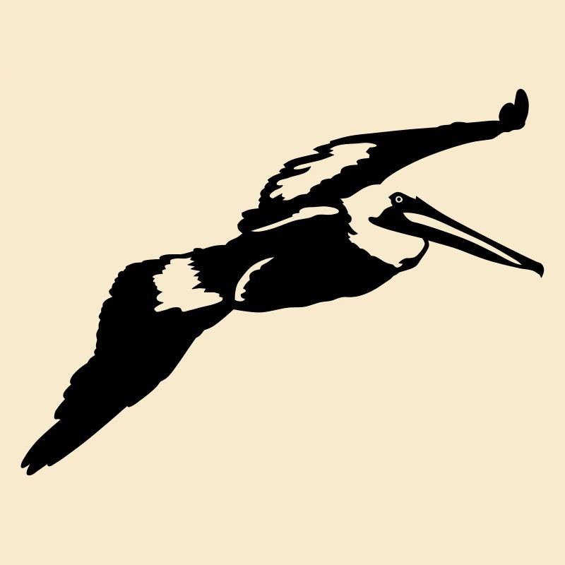 Pelican
