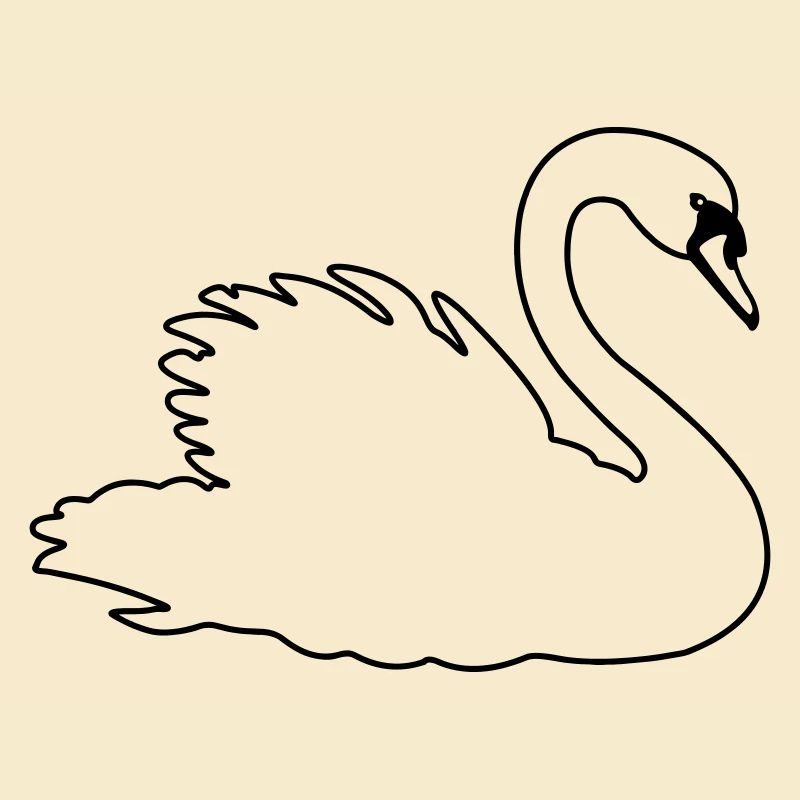 Cygne transparent