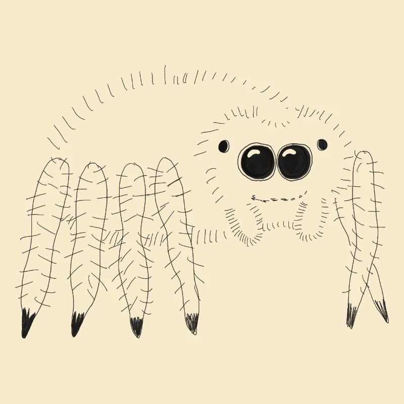 Cuddly spider illustration for the curious