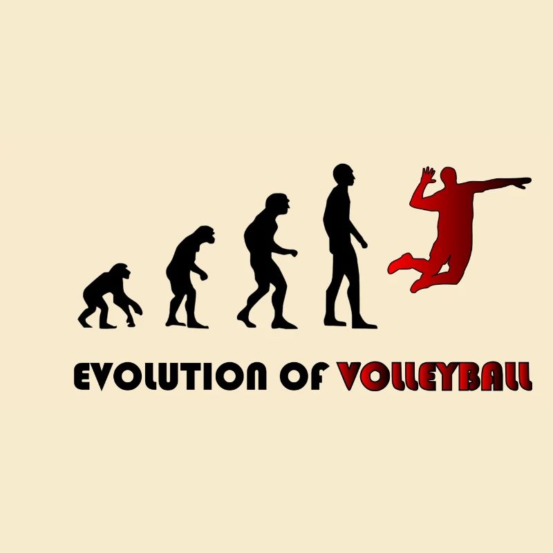 Évolution du volleyball