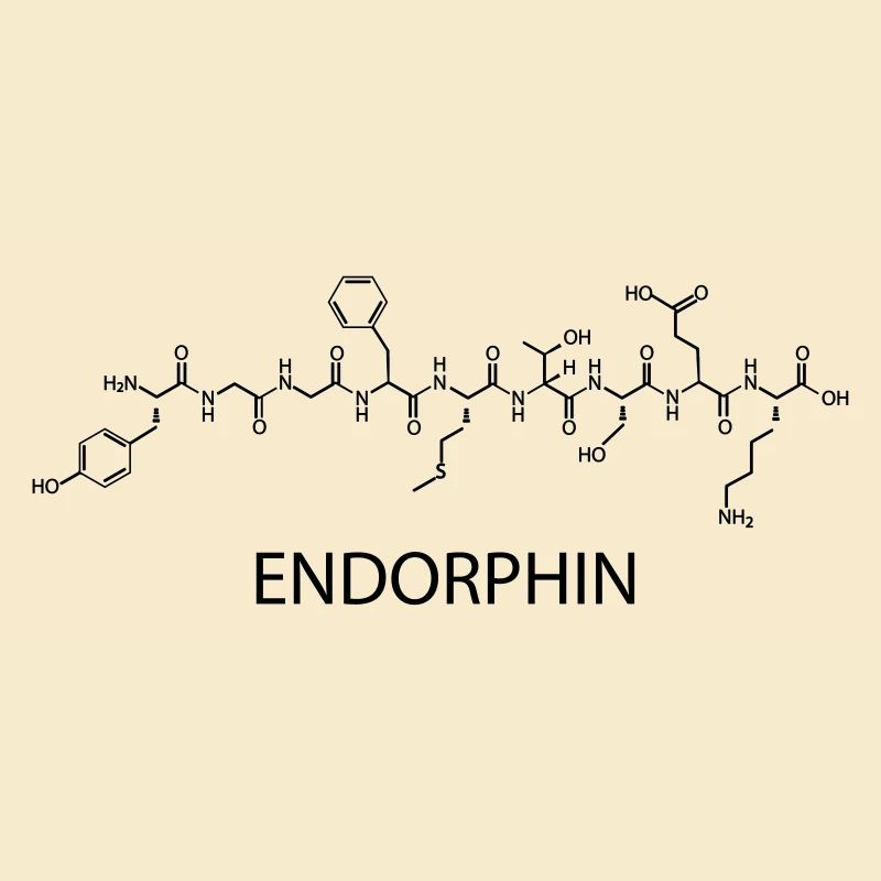 endorphine
