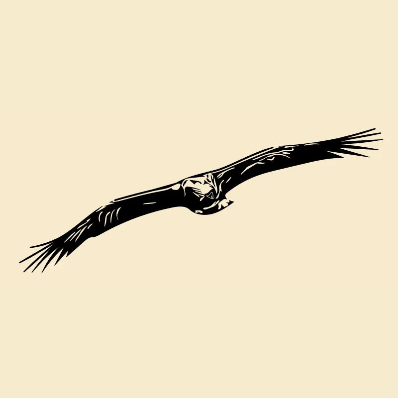 Adler