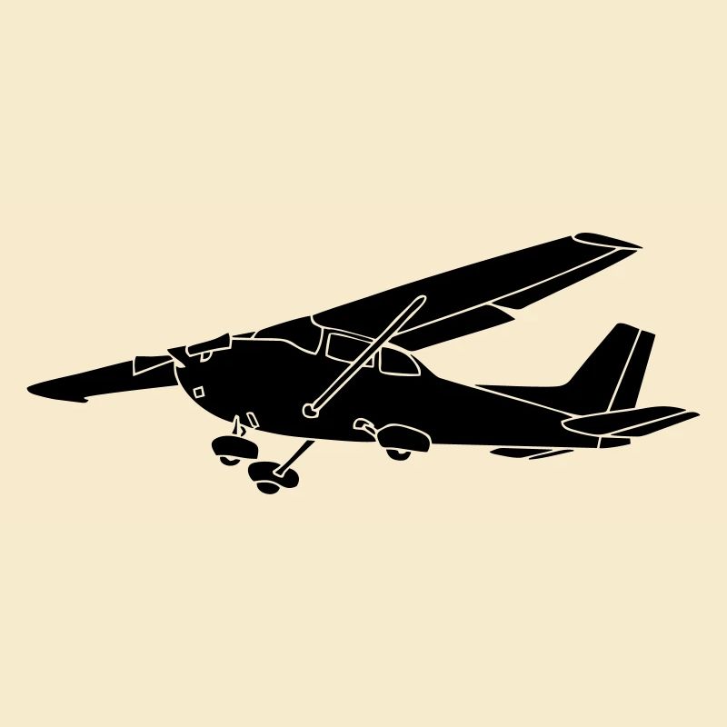 Avion propulsé par un pilote d'avion c172
