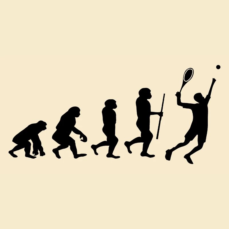 Tennis Evolution Badminton