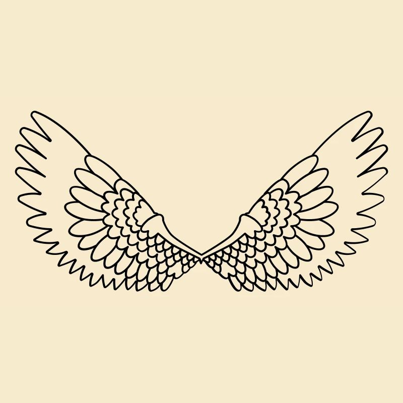Open wings with feathers