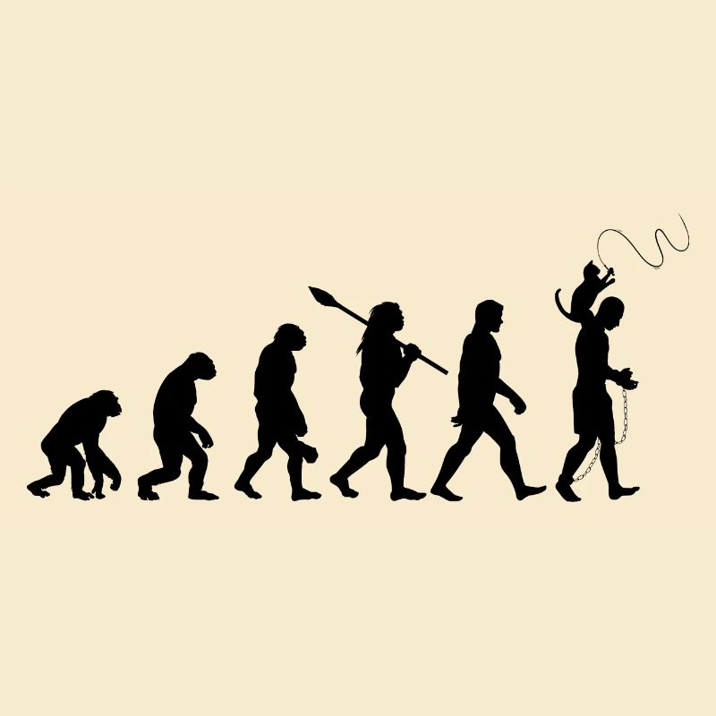 L'évolution du chat