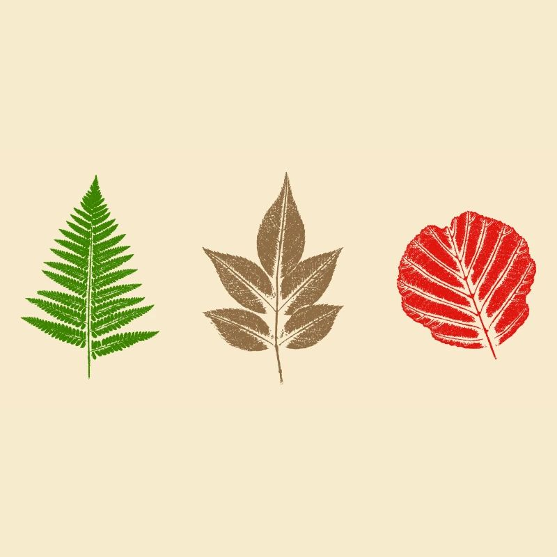 Conception des feuilles