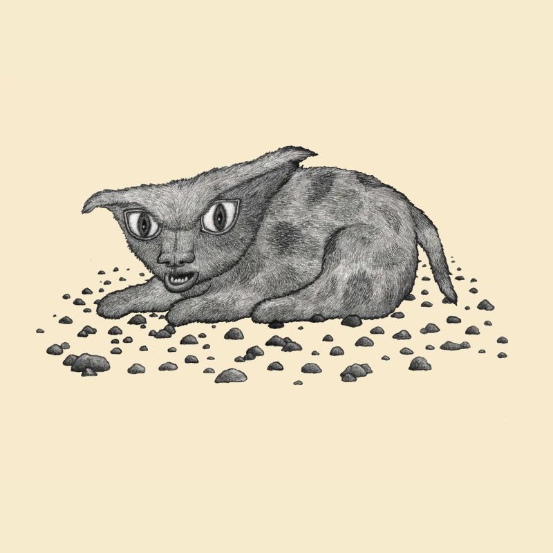 Grim Cat
