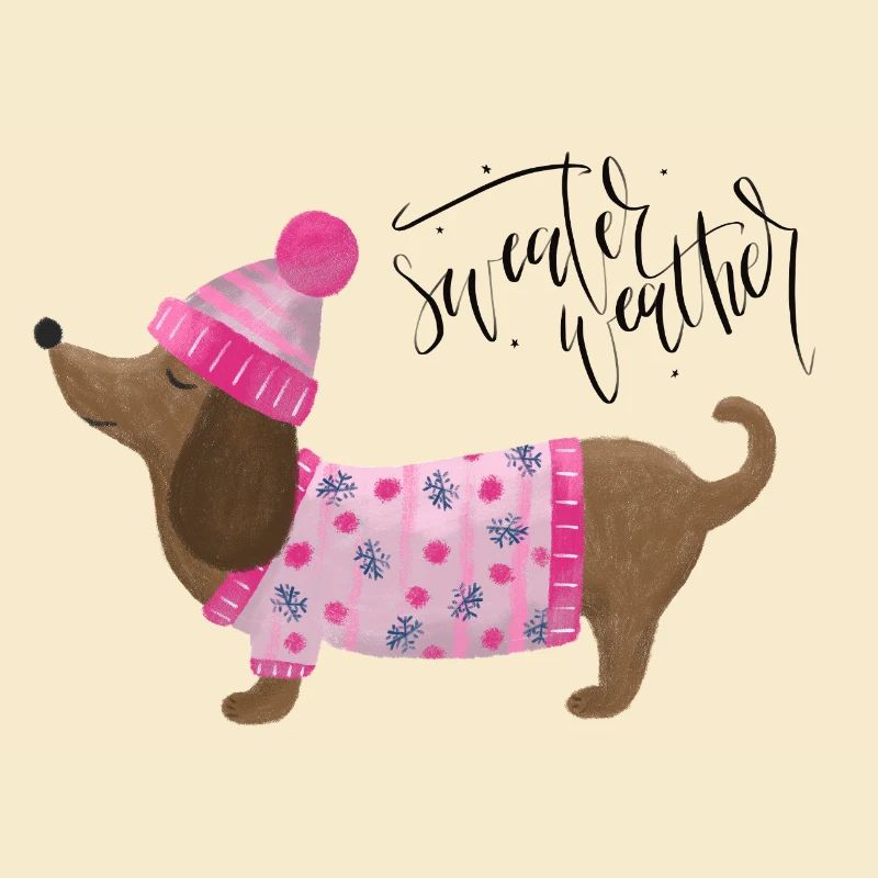 Dackel mit Pullover und Mütze Sweater Weather pink