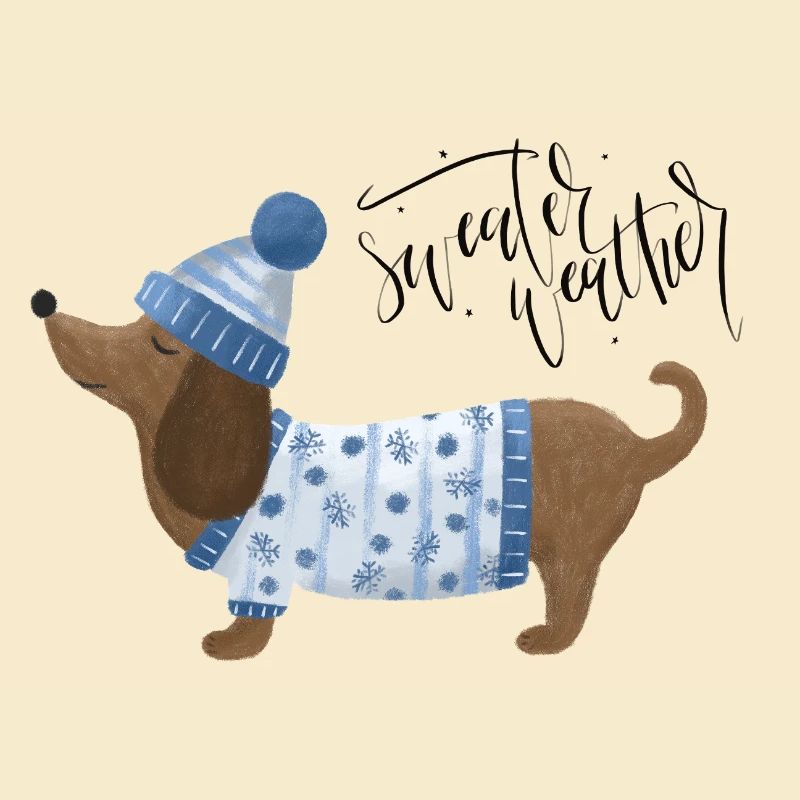 Teckel avec pull et chapeau Pull Météo bleu