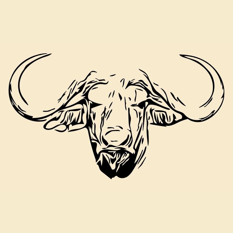 Water Buffalo Head