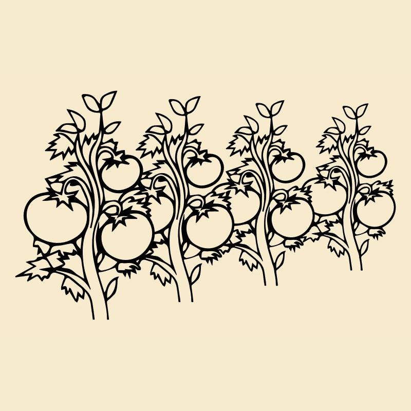vegetable tomatoes