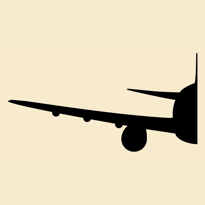 Half half split front front airplane fly pilot mac