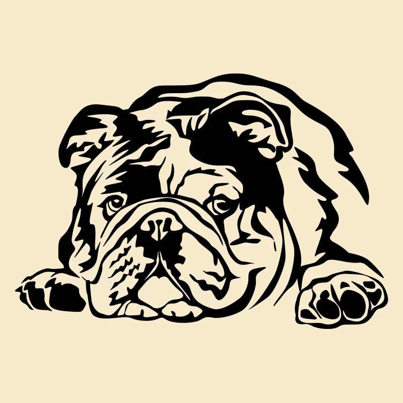 Bouledogue anglaise