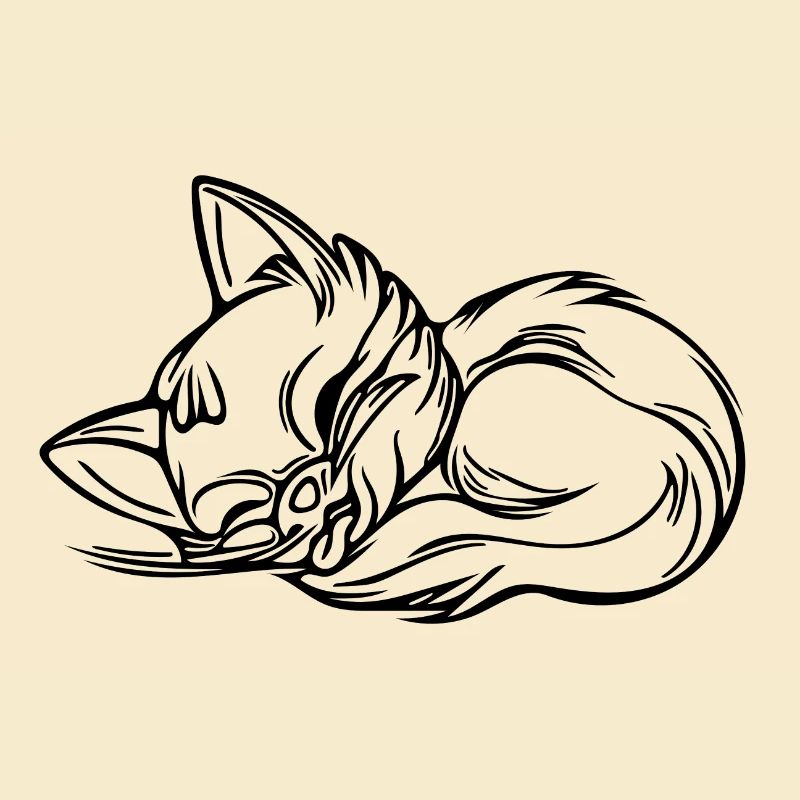 Mignon chaton endormi mignon