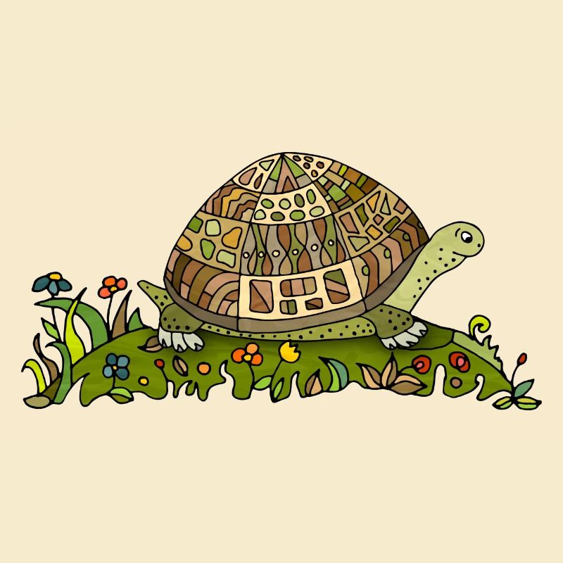 Schildkröte