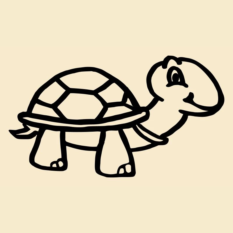 Cute turtle
