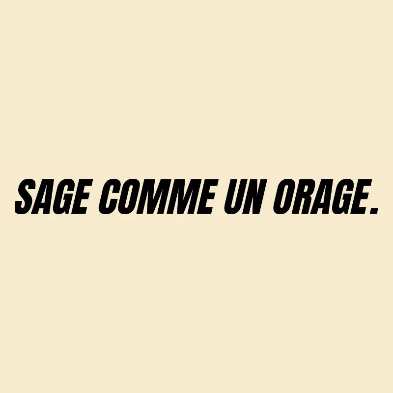sage comme un orage