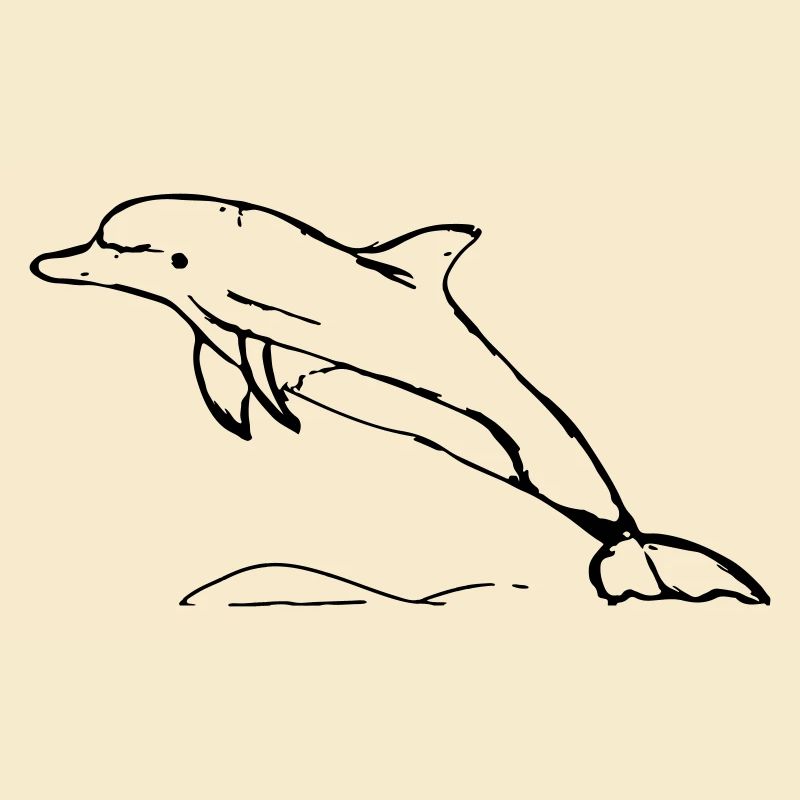 Springender Delphin Geschenk