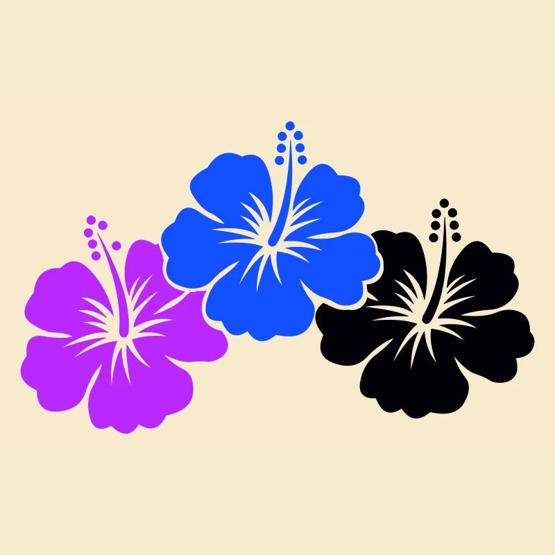 Fleurs d’hibiscus