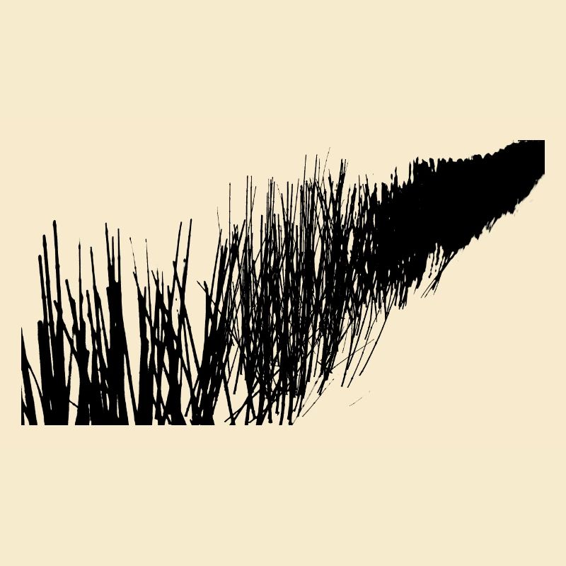 Branches dans la neige