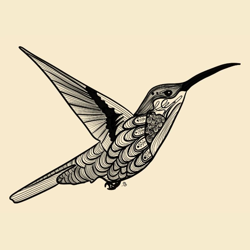 Kolibri