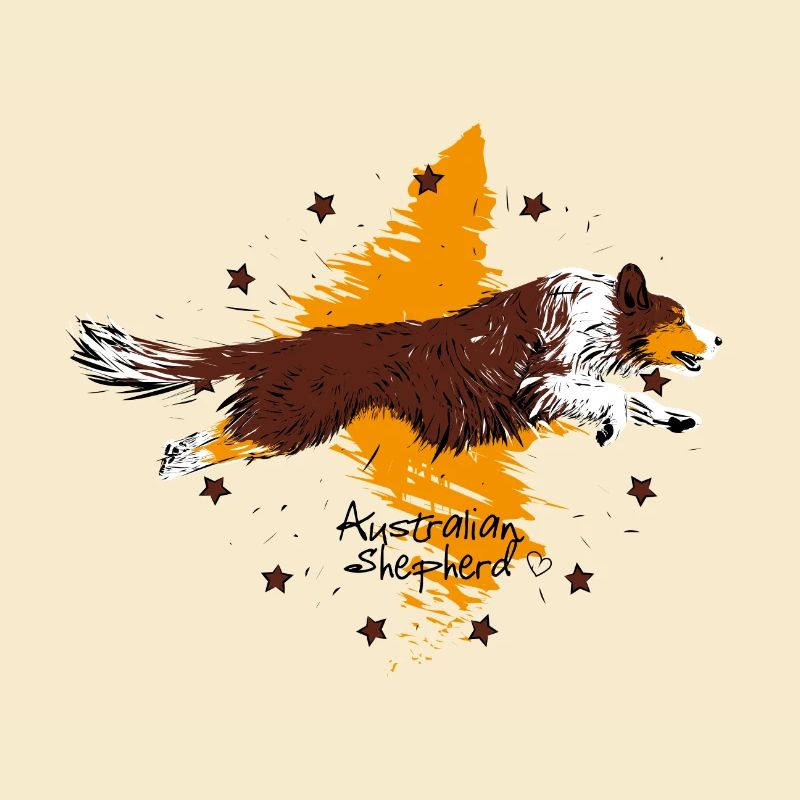Australian Shepherd, red tri