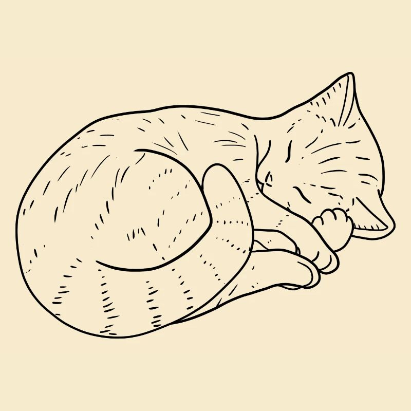 Cat drawing